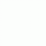 ليلى الناصر
